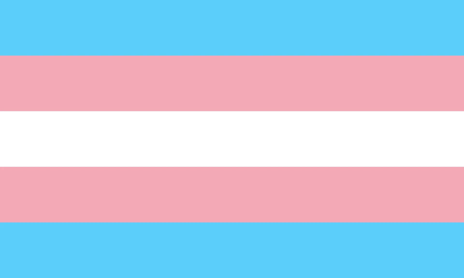 blue pink and white flag symolizing trans pride